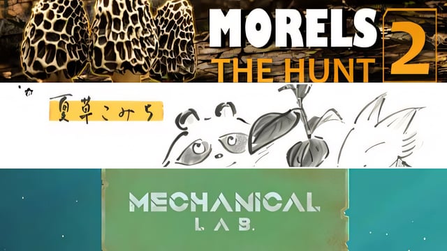 キノコだ。キノコを採りに野山に行こう『Morels: The Hunt 2』や『里山のおと 夏草こみち』『Mechanical Lab』